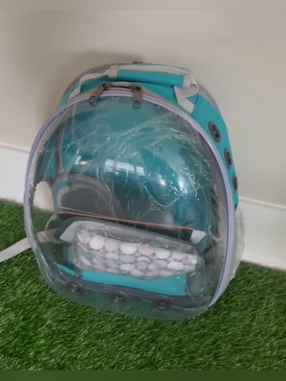 Lollimeow Expandable Cat Bubble Backpack Carrier